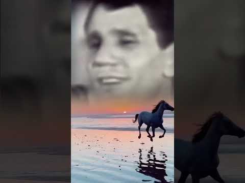 يا معلمنى الحب يارتنى ما تعلمته معاك ولا شوفته جبار العندليب Viral Trending Tiktok Reels Love Fyp