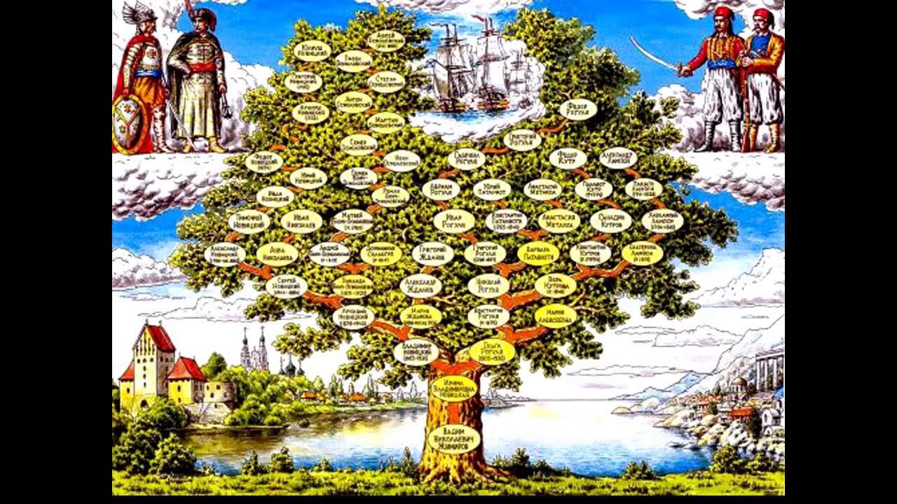 Родословная генеалогическое древо шежере. Эскиз семейного древа. Дерево семьи. Как составить схему генеалогического дерева. Генеалогическое древо семейства буэнди.