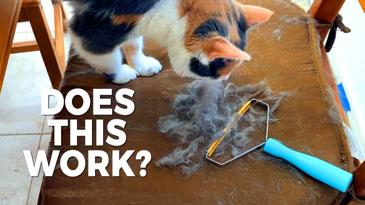 Does it work? Uproot Clean Pet Hair/Fur Remover Review YouTube