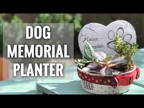 pet collar memorial