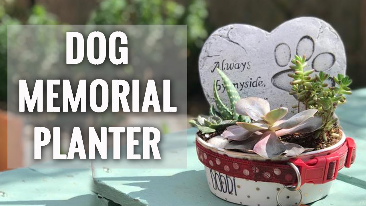 pet collar memorial