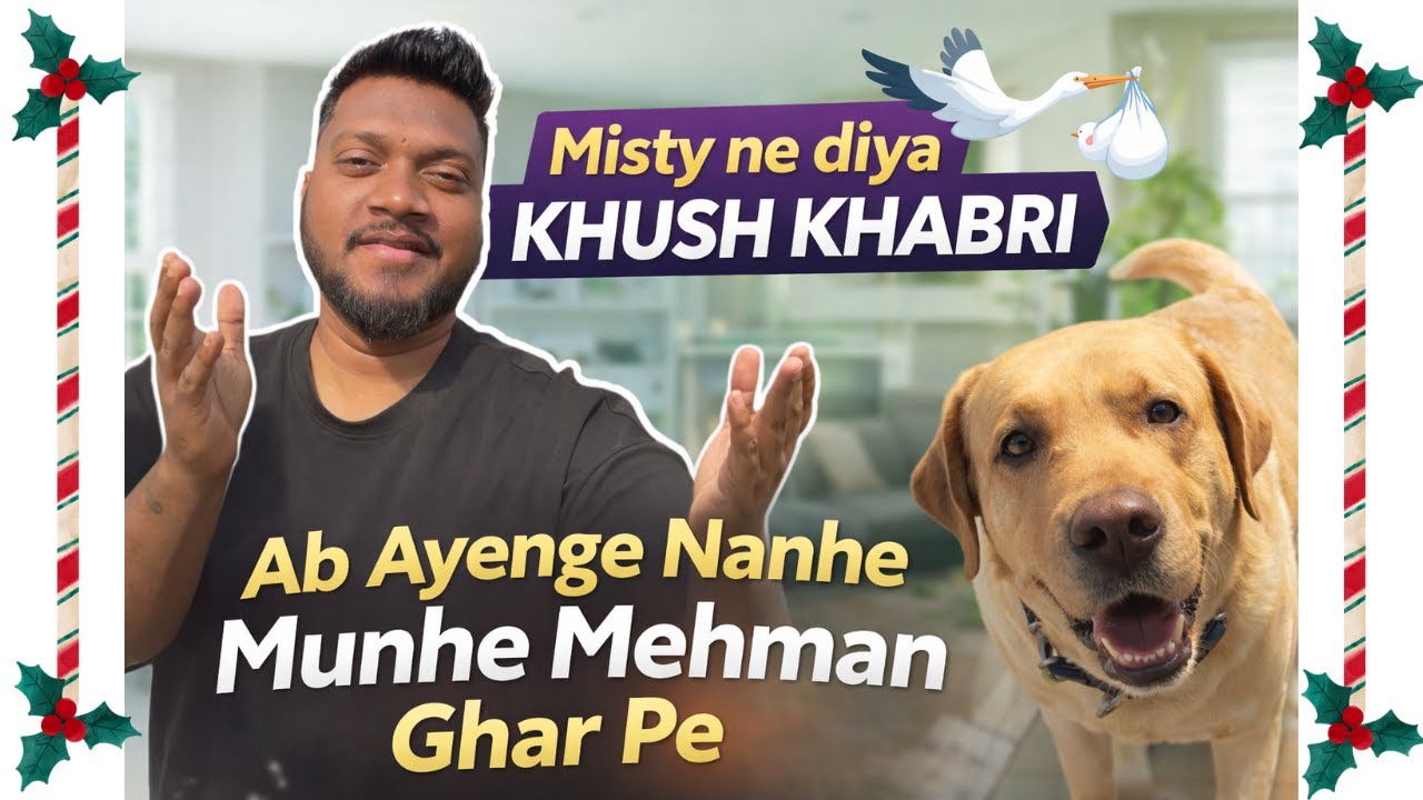 Misty Ne Di Khush Khabri 😍 | Ab Ayenge Nanhe Munhe Mehman Ghar Pe 🐶❤️