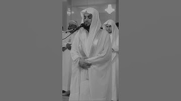 قرآن الكريم بصوت رعد الكردي 😊🖤 اجمل حالات واتس اب دينية 🎧تلاوة خاشعة