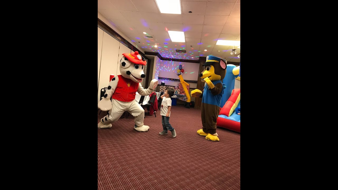 Paw Patrol Birthday Party