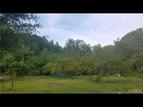 107 Diamond, Aliceville, AL home video tour