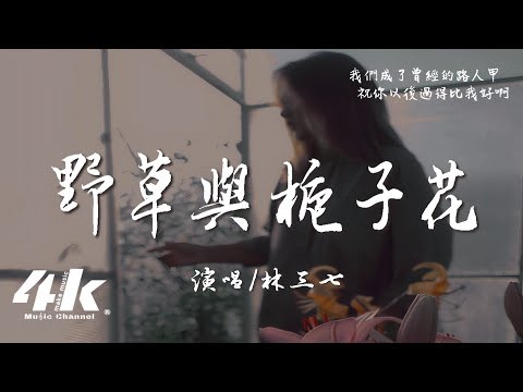 林三七 - 野草與梔子花『枯萎的野草 怎配得上梔子花，不夠好的我 給不起你要的家。』【高音質|動態歌詞Lyrics】♫