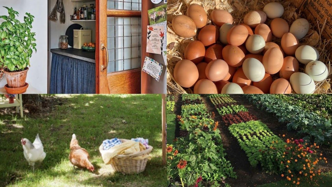 يوم معي في البيت  وجدت مسمن انا والوليدات وبديت فالإصلاحات  شنو اكتشفت فالدار