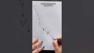 Alphabet Evolution: U/V | Why the Letters U and V Look like the Letters U and V #shorts