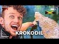 Ik ging zwemmen met krokodillen in de jungle  expeditie jamaica 2