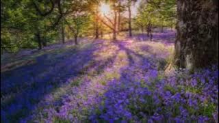 Song of the Bluebell Wood, ABRSM Grade 4