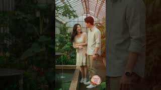 Chinese Love Song – Calm Study &amp; Dreamy Night – Golden OST Romance | 1 Hour