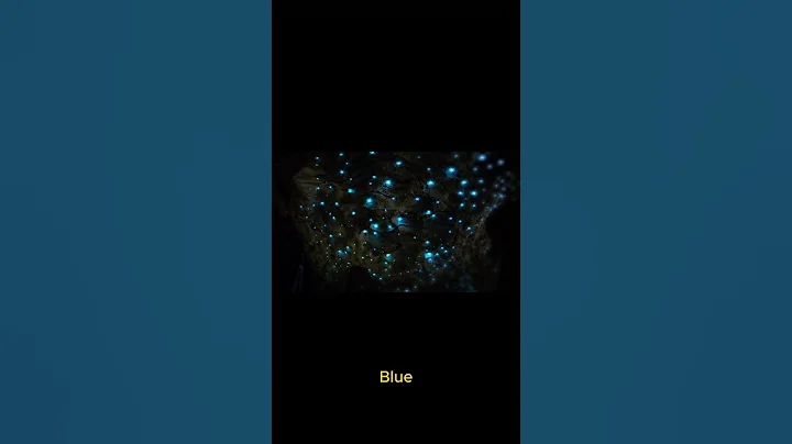 Waitomo Caves: New Zealand’s Glowing Underground World ✨🇳🇿 #top10 #reiseabenteuer #topxplore #travel