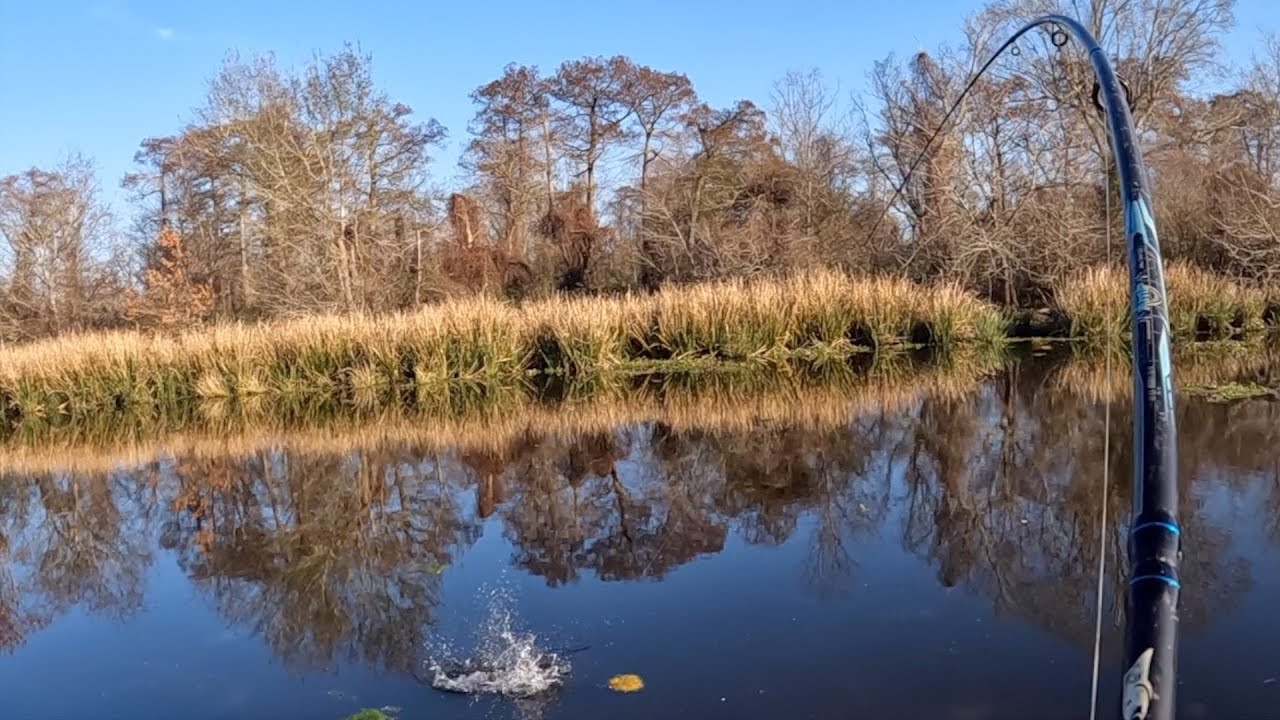 Fishing Bass Beds Takes Patience YouTube