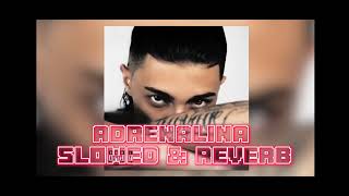 Baby Gang - ADRENALINA Feat Blanco,Marracash (Slowed & Reverb)