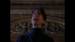 Birdhouse In Your Soul (Official Video) - They Might Be Giants