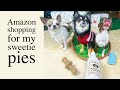 Amazon Christmas gifts for my Chihuahuas