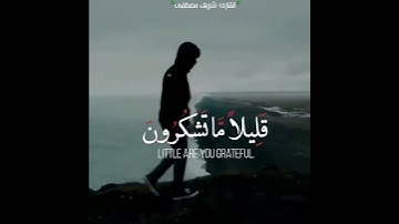 القارئ شريف مصطفى - تلاوة مؤثرة - أرح مسمعك - حالات واتس اب دينيه ايات قران كريم - تلاوة خاشعة