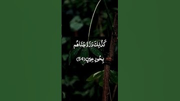 إن المتقين في مقام أمين / الشيخ نعمة الحسان / سورة الدخان