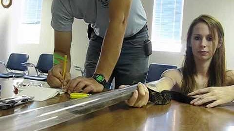 Pit tagging May West