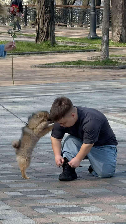 Подняли настроение красавице 😊😌 #lilvi