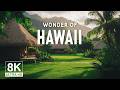 عجائب هاواي أروع الأماكن في هاواي فيديو السفر 4K
