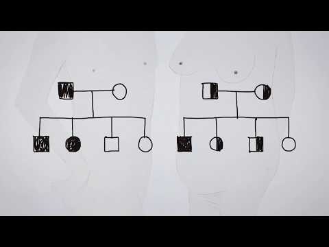 DNAdialoog: DNA en