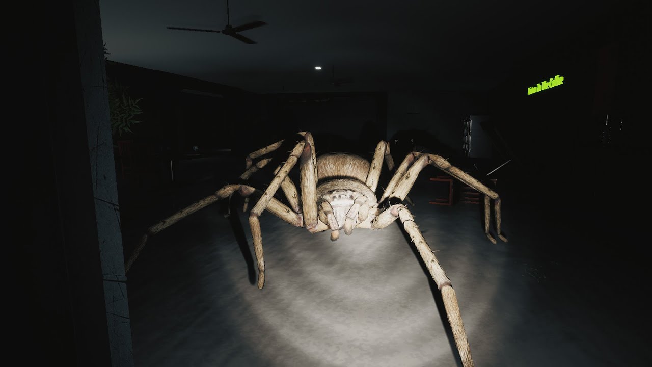 I HATE SPIDERS - Huntsman