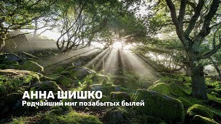 "Редчайший миг позабытых былей" (романс на стихи Анны Шишко)