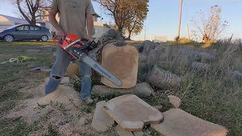 Echo CS 7310 P chainsaw