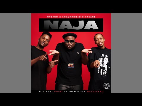 Myztro, ShaunMusiq & Ftears - Naja Naja feat.  Mellow & Sleazy (Official Audio) | Amapiano