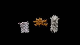 Kinase Inhibitors Antineoplastic Drugs for Cancer