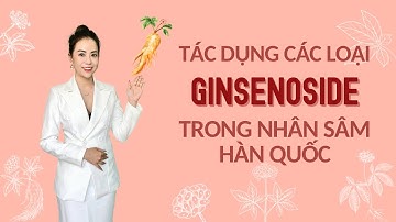 Tác Dụng Các Loại Ginsenoside Trong Nhân Sâm Hàn Quốc - Thi Đặng - ANaNa Nhân Sâm Korea