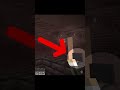 Nether is So mysterious Place... #minecraft