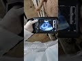 A6 Animal Ultrasound Machine Demonstration #Animal Ultrasound Machine #veterinary ultrasound scanner