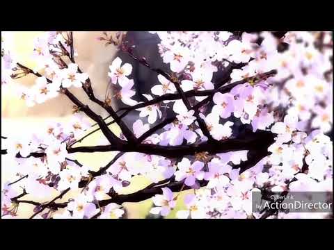 【MAD】蛍火と夜叉丸の想い出【バジリスク】