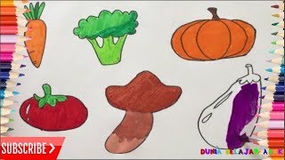Anak Cepat Pintar Menggambar dan Mewarnai Sayuran Wortel,Brokoli,Labu,Tomat,Jamur,Terong