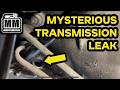 How to Fix Mysterious Transmission Leak | 1995 Ford F150