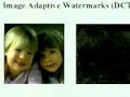 1999-09-10 CERIAS - Image and Video Watermarking: An Overview