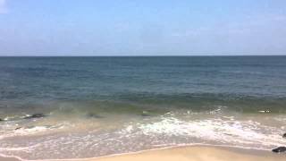 Sandy Hook Oceanside