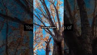 Embrace Change: Quotes To Encourage Personal Growth🌱#motivation #inspiration #youtubeshorts #quotes Embrace Change: Quotes To Encourage Personal Growth🌱#motivation #inspiration #youtubeshorts #quotes