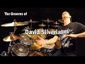 The Grooves of David Silveria
