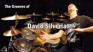 The Grooves of David Silveria