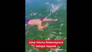 Buzlu gölde az kalsın *lüyordu!  #iceswimming #gündem