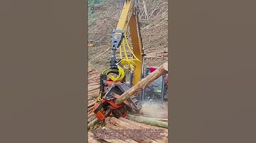 "Modern Lumber Processing – Fully Automated Tree Cutting Machine in Action!"