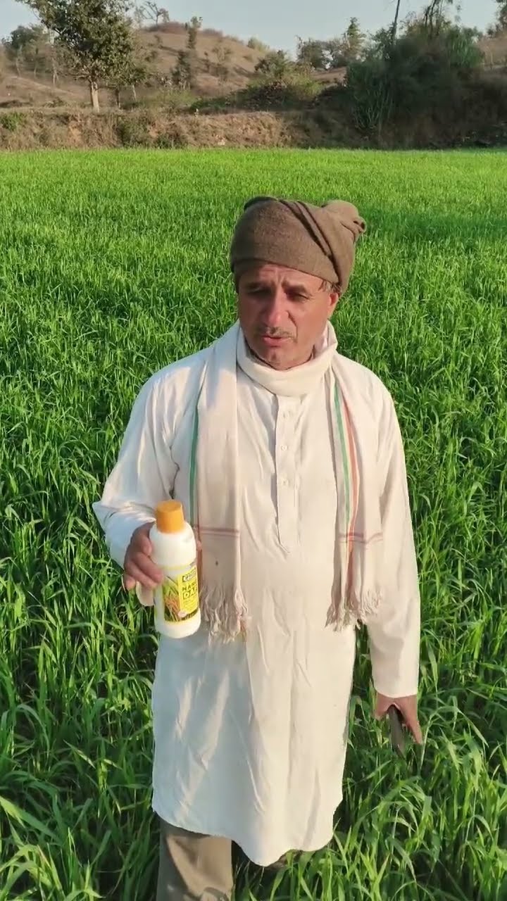 राजस्थान के अनुभवी किसान ने नैनो डीएपी के कैसे फायदे गिनाए | वनइंडिया हिंदी