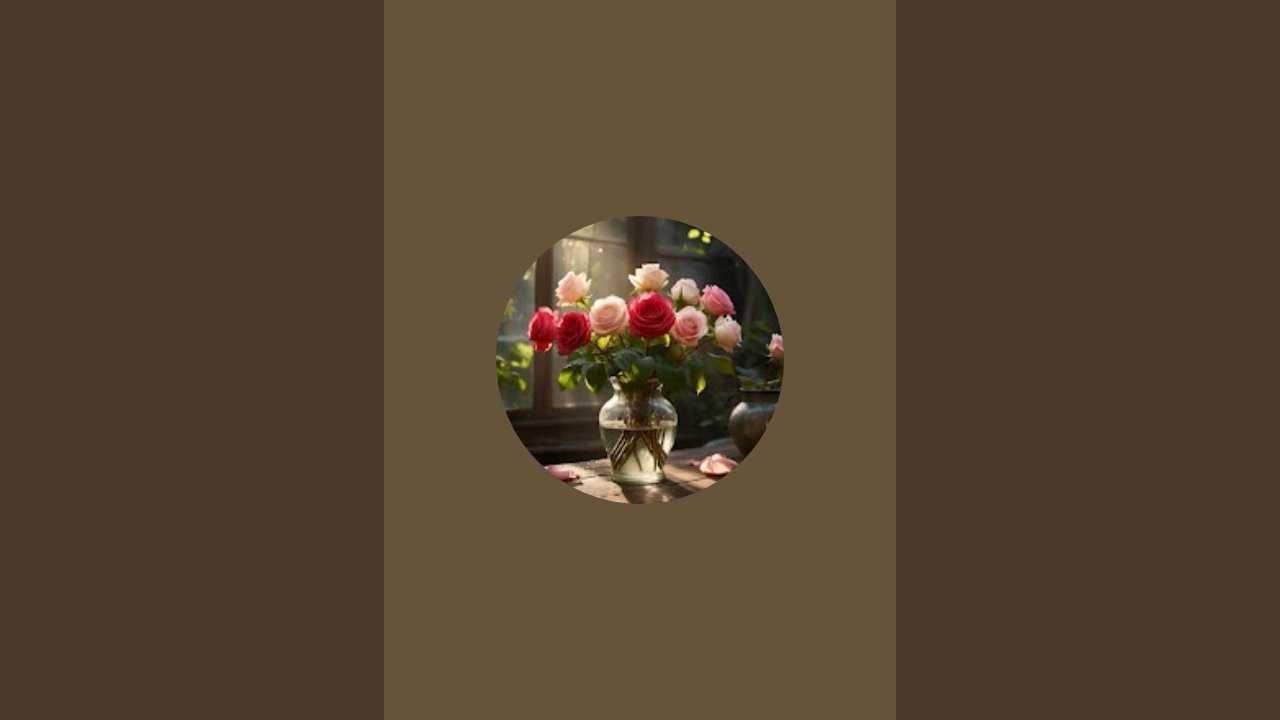 Awais Momin is live!