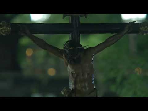 Pontificia, Real, Ilustre y Fervorosa Hermandad del Santísimo Cristo de Burgos, Negaciones y Lágrimas de San Pedro y Madre de Dios de la Palma