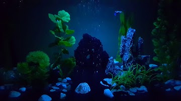 Su Altı Renk Değiştiren Uzaktan Kumandalı Led Lamba