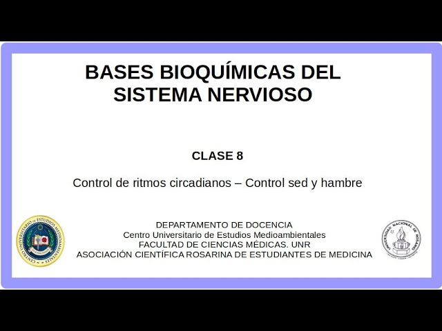 bbsn8 2024