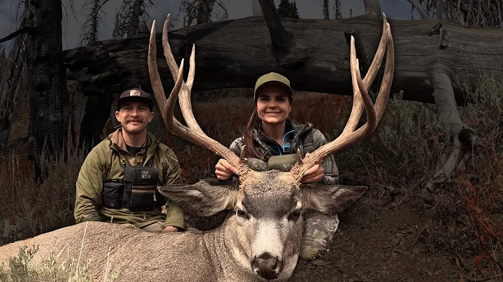 Hunting Mountain Mule Deer With My Wife!